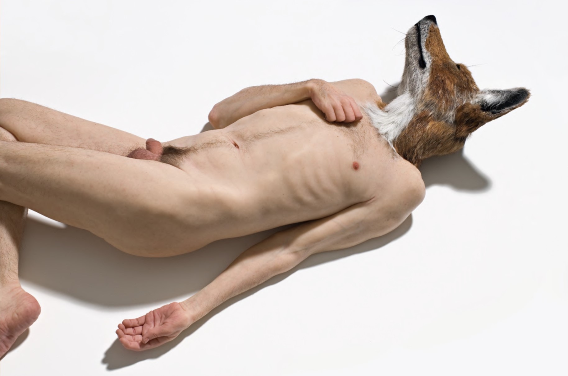 山姆‧詹克斯（Sam Jinks），《犬頭》（Doghead），矽膠、人類毛髮、毛皮，30 x 140 x 60 cm，2008。 ©Sam Jinks 攝影：Graham Baring-圖片