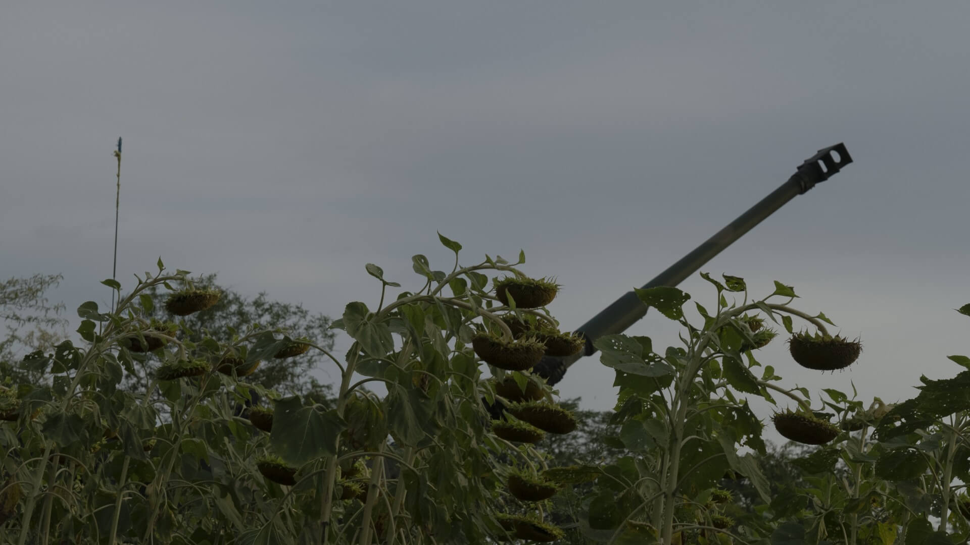 04 頓巴斯前線，烏克蘭，2022年8月18日 ©張乾琦、馬格蘭攝影通訊社-圖片
