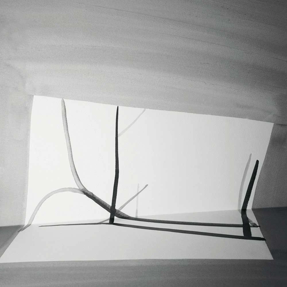 點擊觀看大圖-《問影#3》,2017,微噴輸出於藝術紙並裱於鋁板,120 x 120 cm 《問影#3》,2017,微噴輸出於藝術紙並裱於鋁板,120 x 120 cm-圖片