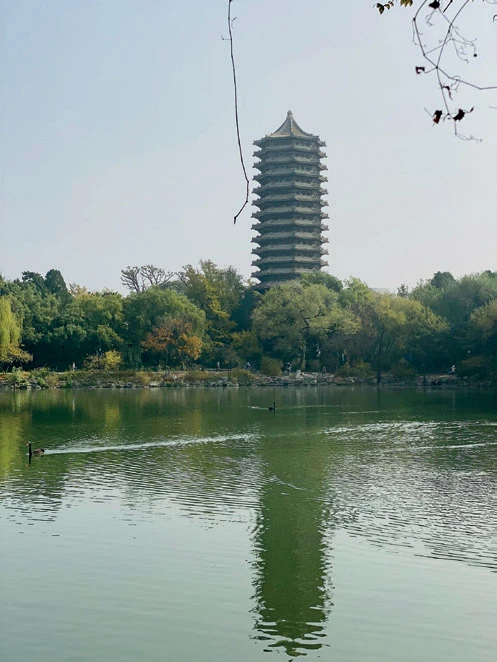 燕京大學未名湖邊的博雅塔，中國北京；蔣雅君攝影。-圖片