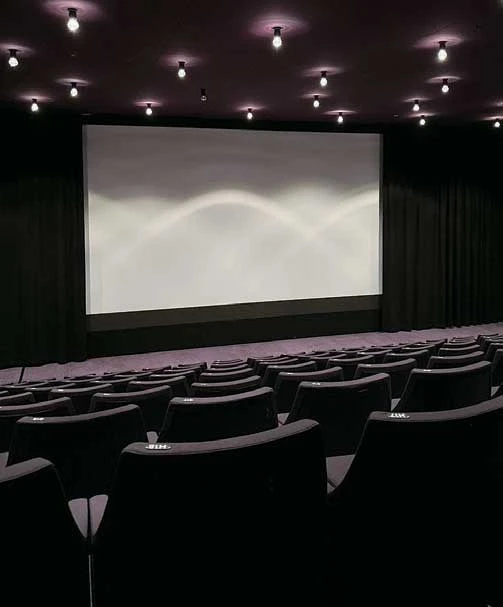 點擊觀看大圖-M+視覺文化博物館附屬戲院 (M+ Cinema) M+視覺文化博物館附屬戲院 (M+ Cinema)-圖片