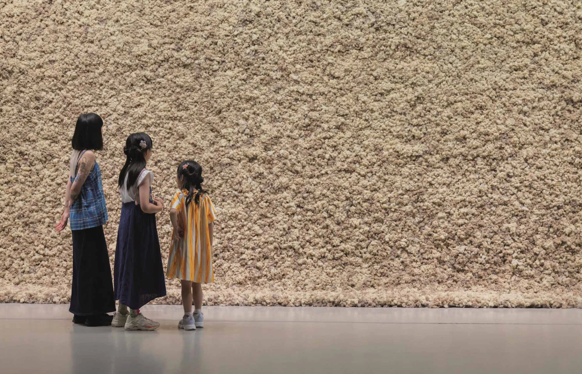 奧拉弗・埃利亞松，《苔蘚牆》（<i>Moss wall</i>），1994。倫敦泰德現代美術館典藏。© 1994 奧拉弗・埃利亞松。北美館「奧拉弗．埃利亞松：你的好奇旅程」展場一景；林冠儀攝影。-圖片