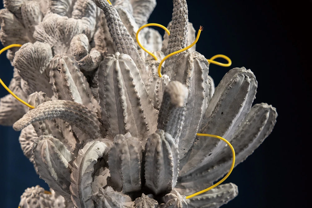 張如怡（Zhang Ruyi），《灰塵堆積出的暗光》（<i>Dim Light Buildup by Dust Suspended in Air</i>），2024。2025台北雙年展現場；呂國瑋攝影。-圖片