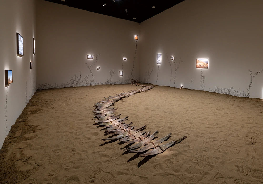 穆罕默德．阿法拉傑（Mohammad Al Faraj），《如水中茶葉》（<i>Like Tea Leaves in Water</i>），2025，棉紙相片、棕櫚木、炭筆牆繪、沙，尺寸依空間而定，藝術家及 Athr Gallery, Jeddah 和 Mennour Gallery, Paris 版權所有。本作品承蒙 Athr Gallery, Jeddah 及 Mennour Gallery, Paris 慷慨支持，得以實現。2025台北雙年展現場。-圖片