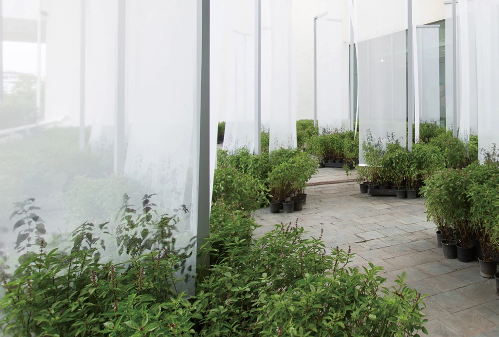 法特瑪．阿布杜哈迪（Fatma Abdulhadi），《留下的⋯⋯盡可能長存》（<i>What Remains… Stay as Long as You Can</i>），2025，絹印於透明網布、不鏽鋼懸吊結構、九層塔植栽，尺寸依空間而定，藝術家版權所有，由 2025 台北雙年展委託製作。本作品承蒙 Diriyah Biennale Foundation 慷慨支持，得以實現。2025台北雙年展現場。-圖片