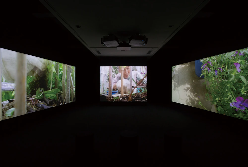 橫溝靜（Shizuka Yokomizo），《受益者》（<i>Recipients</i>），2025，多螢幕錄像裝置，尺寸依空間而定，藝術家個人收藏，WAKO WORKS OF ART, TOKYO 版權所有，由 2025台北雙年展委託製作。 2025台北雙年展現場。-圖片