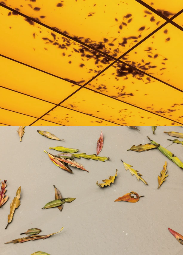 阿瓦羅．烏爾巴諾（Álvaro Urbano），《活畫（失竊的太陽）》（<i>TABLEAU VIVANT [A Stolen Sun]</i>），2024 / 2025，鋁、動作機械系統、電子系統、樹葉、LED燈條、金屬、感應馬達、漆料、壓克力玻璃、PVC、白色紙板、木材、臺北市立美術館典藏作品，549×1830×89公分，藝術家及ChertLüdde，Travesía Cuatro， Marian Goodman Gallery版權所有。2025台北雙年展現場；呂國瑋攝影。-圖片