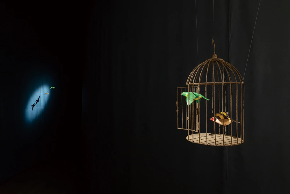 高田冬彦（Fuyuhiko Takata），《公主與魔鳥》（<i>The Princess and the Magic Birds</i>），2021 / 2025，單頻道錄像，Full HD，鳥籠，18分鐘，循環播放，尺寸依空間而定 © Fuyuhiko TAKATA，藝術家及WAITINGROOM版權所有。2025台北雙年展現場；呂國瑋攝影。-圖片