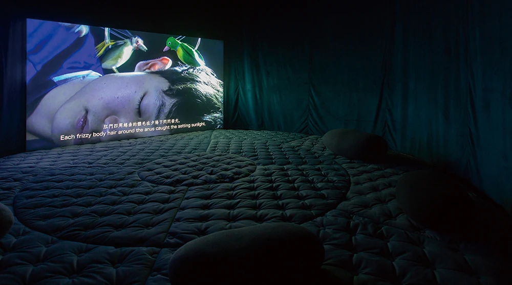 高田冬彦（Fuyuhiko Takata），《公主與魔鳥》（<i>The Princess and the Magic Birds</i>），2021 / 2025，單頻道錄像，Full HD，鳥籠，18分鐘，循環播放，尺寸依空間而定 © Fuyuhiko TAKATA，藝術家及WAITINGROOM版權所有。2025台北雙年展現場；呂國瑋攝影。-圖片