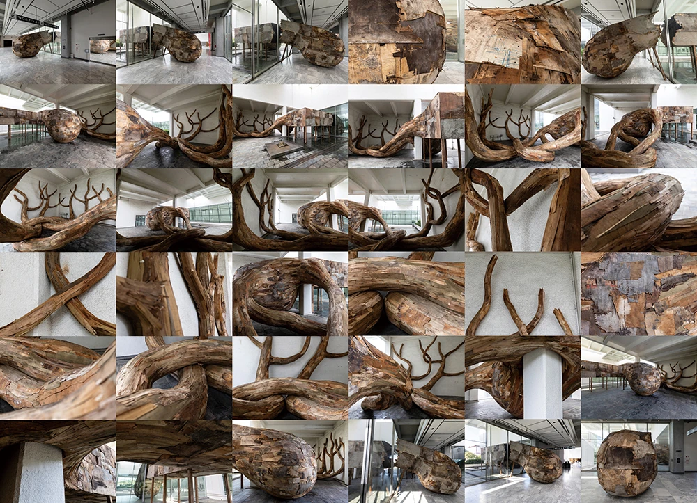 《雜草》（<i>Cizania</i>），2025，層板、回收層板，尺寸依空間而定，藝術家版權所有，由 2025台北雙年展委託製作，材料贊助：民伍實業有限公司、冠帝興業有限公司。本作品承蒙Almeida & Dale慷慨支持，得以實現。2025台北雙年展現場；呂國瑋攝影。-圖片