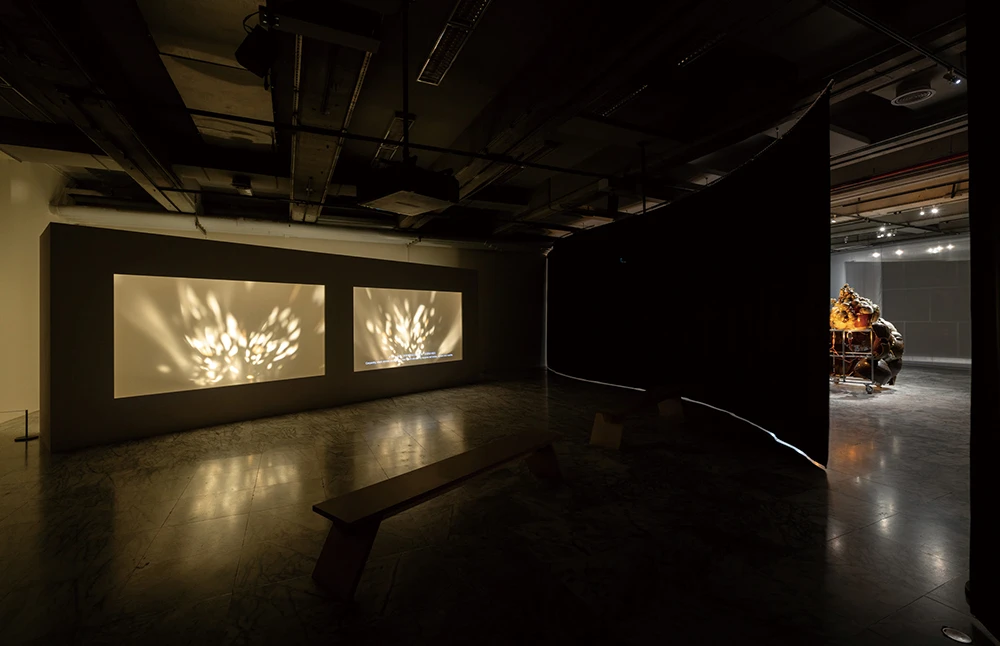 王耀億，《合拍片》，2025，雙頻道錄像、黑白、同步、燈光裝置、投影機、喇叭，20分鐘，1920×1080 (HD)，藝術家版權所有，由 2025台北雙年展委託製作。 2025台北雙年展現場；呂國瑋攝影。-圖片